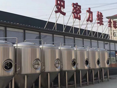 攸县精酿啤酒设备厂—如何判断精酿啤酒设备的密封件需要更换？